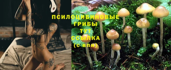 apvp Великий Новгород