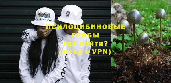 первитин Коряжма