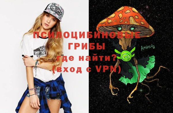 ешки Кодинск