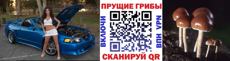 кракен сайт Кропоткин Псилоцибиновые грибы MAGIC MUSHROOMS